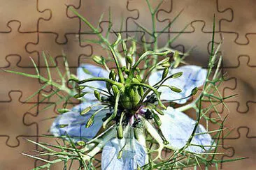 Toy jigsaw puzzle
