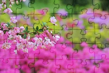 OK jigsaw puzzle