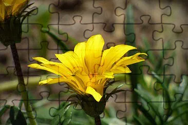 OK jigsaw puzzle