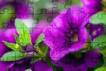 OK jigsaw puzzle