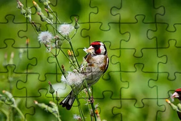 Toy jigsaw puzzle