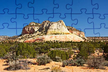 Toy jigsaw puzzle