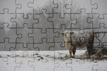 Toy jigsaw puzzle