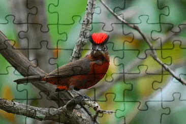 Toy jigsaw puzzle