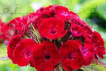 OK jigsaw puzzle