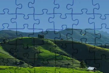 Toy jigsaw puzzle