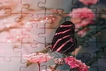 foto jigsaw puzzle