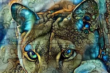 Arte de L Roche