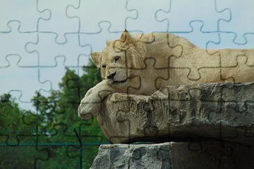 Toy jigsaw puzzle