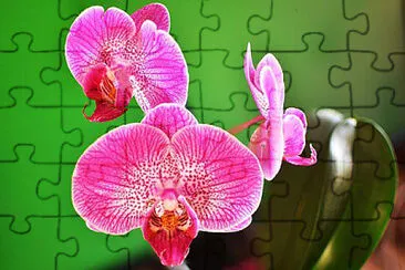 OK jigsaw puzzle