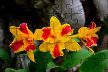 OK jigsaw puzzle
