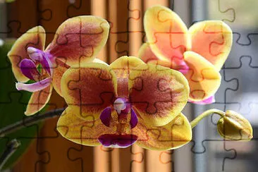 OK jigsaw puzzle