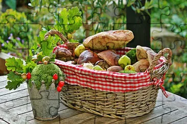 a jigsaw puzzle