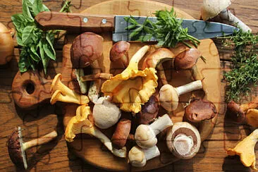 a jigsaw puzzle