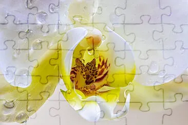 OK jigsaw puzzle