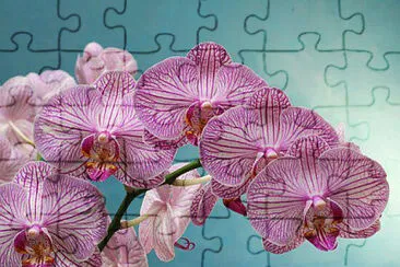 OK jigsaw puzzle
