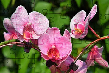 OK jigsaw puzzle
