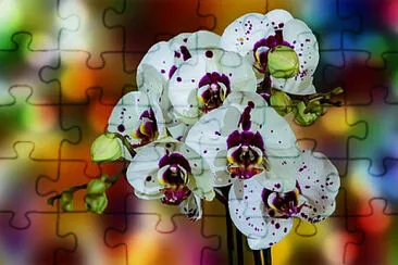 OK jigsaw puzzle