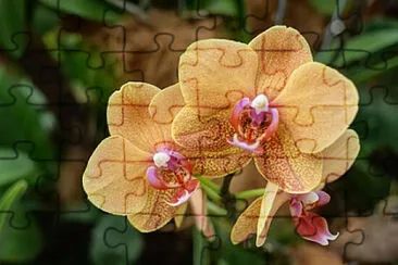 OK jigsaw puzzle