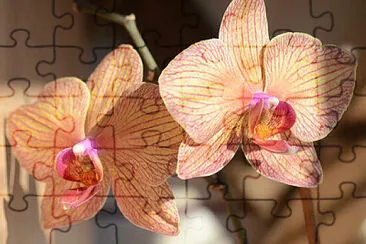 OK jigsaw puzzle