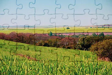 Toy jigsaw puzzle