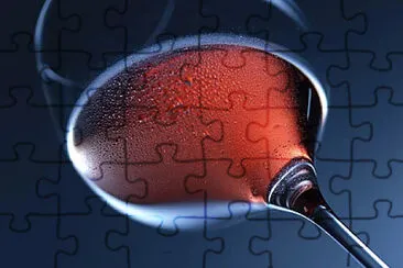 Toy jigsaw puzzle