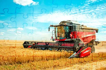 Toy jigsaw puzzle