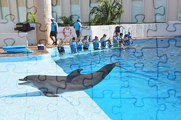 Toy jigsaw puzzle