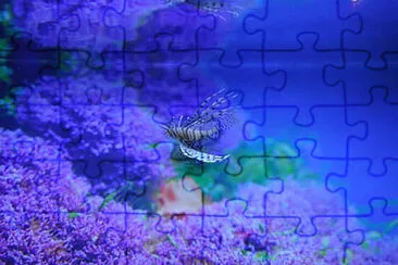 Toy jigsaw puzzle