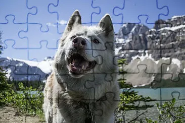 Toy jigsaw puzzle