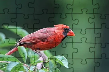 Toy jigsaw puzzle