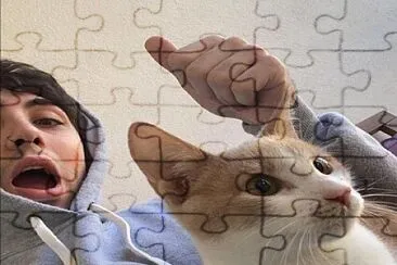 Carre jigsaw puzzle