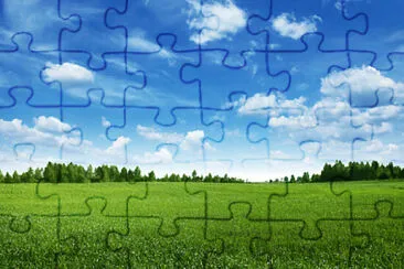 Toy jigsaw puzzle
