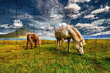 Imagem jigsaw puzzle
