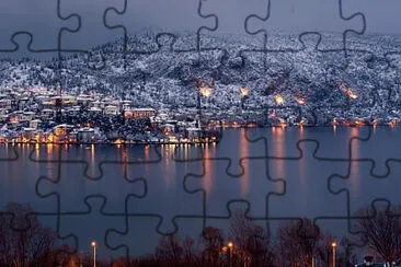 Toy jigsaw puzzle