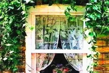 ventana