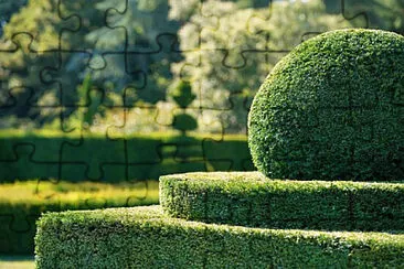 Toy jigsaw puzzle