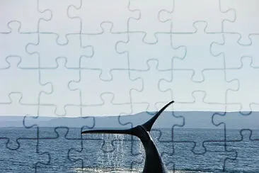 Toy jigsaw puzzle