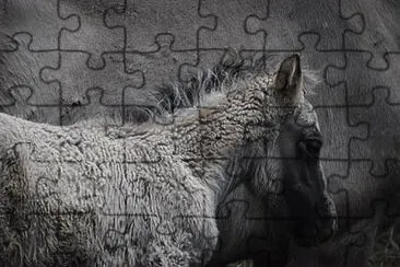 Toy jigsaw puzzle