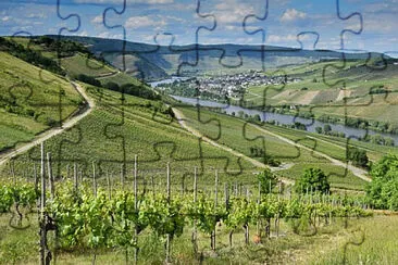 Toy jigsaw puzzle