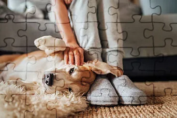 Toy jigsaw puzzle