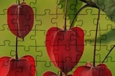 פאזל של 花賞