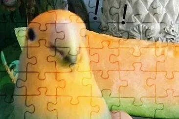 Melon