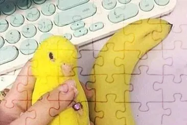 Banana jigsaw puzzle