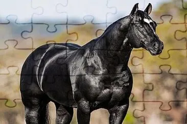 imagem jigsaw puzzle