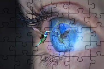 Toy jigsaw puzzle