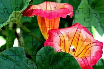 Toy jigsaw puzzle