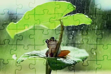 Toy jigsaw puzzle