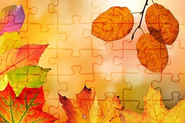 Toy jigsaw puzzle