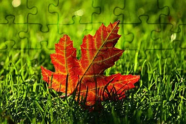 Toy jigsaw puzzle